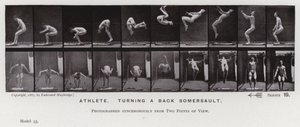 Den menneskelige figur i bevægelse: Atlet, der vender en salto (s/h-billede) af Eadweard Muybridge