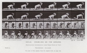 Den menneskelige figur i bevægelse: Barn, der kravler på jorden af Eadweard Muybridge