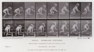 Den menneskelige figur i bevægelse: Barn, kravler ovenpå (s/h-billede) af Eadweard Muybridge