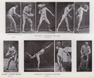 Den menneskelige figur i bevægelse: Hæver en kampesten på 75 pund; Hæver en 20-punds kampesten (s/h-billede) af Eadweard Muybridge
