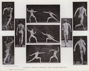Den menneskelige figur i bevægelse: Bevægelsesfaser, udvalgt fra forskellige serier (s/h foto) af Eadweard Muybridge