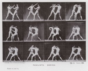 The Human Figure in Motion: Pugilists, Boxing (s/h-billede) af Eadweard Muybridge