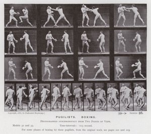 The Human Figure in Motion: Pugilists, Boxing (s/h-billede) af Eadweard Muybridge