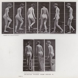 Den menneskelige figur i bevægelse: Udvalgte faser fra serie 41 (s/h foto) af Eadweard Muybridge