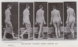 Den menneskelige figur i bevægelse: Udvalgte faser fra serie 43 (s/h-foto) af Eadweard Muybridge