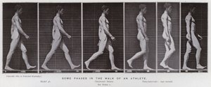 Den menneskelige figur i bevægelse: Nogle faser i en atlets gang (s/h foto) af Eadweard Muybridge