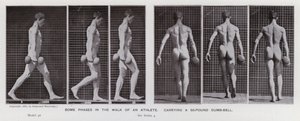Den menneskelige figur i bevægelse: Nogle faser i en atlets gang, der bærer en 50-punds håndvægt (s/h-billede) af Eadweard Muybridge