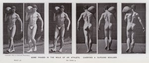 Den menneskelige figur i bevægelse: Nogle faser i en atlets gang, der bærer en 75-punds kampesten (s/h-foto) af Eadweard Muybridge