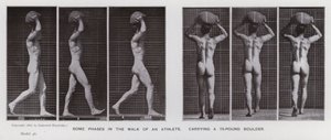 Den menneskelige figur i bevægelse: Nogle faser i en atlets gang, der bærer en 75-punds kampesten (s/h-foto) af Eadweard Muybridge