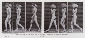 Den menneskelige figur i bevægelse: Nogle faser i en atlets gang, der bærer en 75-punds kampesten (s/h-foto) af Eadweard Muybridge