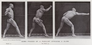 Den menneskelige figur i bevægelse: Nogle faser af en pugilist, der slår et slag (B/W -foto) af Eadweard Muybridge