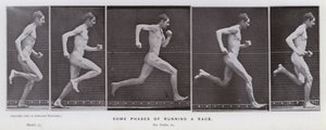 Den menneskelige figur i bevægelse: Nogle faser af at løbe til et løb (s/h-billede) af Eadweard Muybridge