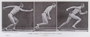 Den menneskelige figur i bevægelse: Nogle faser af at starte et løb (s/h-billede) af Eadweard Muybridge