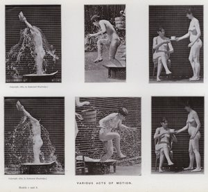Den menneskelige figur i bevægelse: Forskellige bevægelseshandlinger (s/h foto) af Eadweard Muybridge