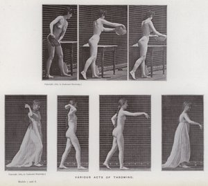 Den menneskelige figur i bevægelse: Forskellige kastehandlinger (s/h-billede) af Eadweard Muybridge