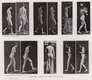 Den menneskelige figur i bevægelse: Gå, under forskellige forhold (s/h foto) af Eadweard Muybridge
