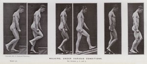 Den menneskelige figur i bevægelse: Gå, under forskellige forhold (s/h foto) af Eadweard Muybridge