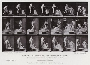 Den menneskelige figur i bevægelse: kvinde, et chok for nervesystemet (s/h foto) af Eadweard Muybridge