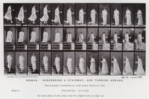 Den menneskelige figur i bevægelse: Kvinde, der går ned af en trappe og vender sig om (s/h-billede) af Eadweard Muybridge
