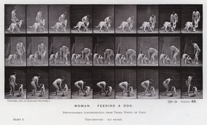 Den menneskelige figur i bevægelse: Kvinde, der fodrer en hund (s/h-billede) af Eadweard Muybridge