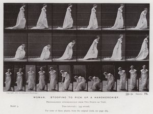 Den menneskelige figur i bevægelse: Kvinde, der bøjer sig for at tage et lommetørklæde (s/h-billede) af Eadweard Muybridge