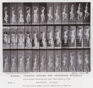 Den menneskelige figur i bevægelse: kvinde, der vender sig om og går op ad trappen (s/h foto) af Eadweard Muybridge