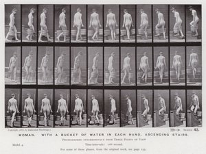 Den menneskelige figur i bevægelse: kvinde, med en spand vand i hver hånd, op ad trapper af Eadweard Muybridge