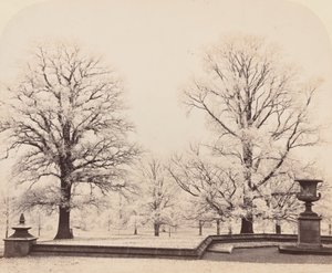 Rimfrost, en parkscene, 1862. af Earl of Caithness James Sinclair