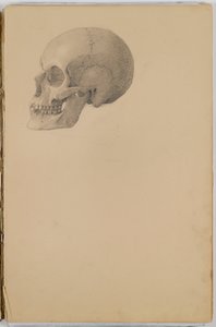 Anatomy Sketch Book, 1849 (skitsebog indeholdende tegninger i grafit)