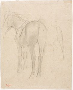 Studier af en hest af Edgar Degas