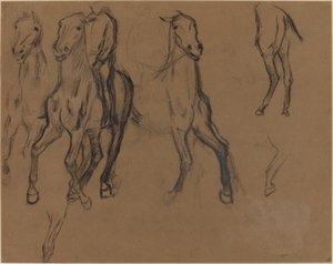 Study of Horses, ca. 1886 (kul og grafit på brunt papir) af Edgar Degas