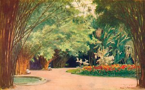 A Bamboo Grove - Botanisk Have, 1914