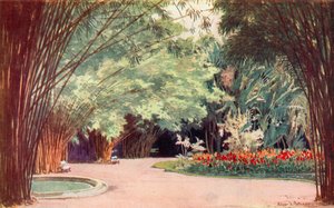 En bambuslund, botanisk have (farve litho)