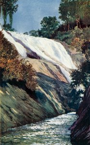 Cascade ved Tijuca, Rio (farve litho)