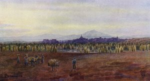 Nordspanien: Benavente, ovenfra Castro Gonzalos bro (farve litho) af Edgar T. A. Wigram