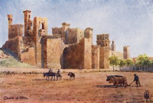 Nordspanien: Olite, Slottet (farve litho) af Edgar T. A. Wigram