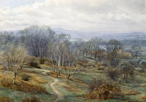 Hampstead Heath ser mod Harrow on the Hill, ca. 1880 (wc på papir) af Edith Martineau