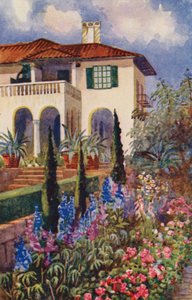 Et hjørne af haven ved Villa Arcadia, Johannesburg (farve litho) af Edith Struben