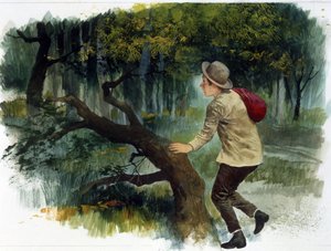Børnelitteratur: fra Appenninerne til Andesbjergene. En ung dreng alene i skoven (tegning)