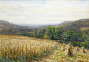 Høsttid nær Ashburton, 1884 (wc & gouache på papir) af Edmund George Warren