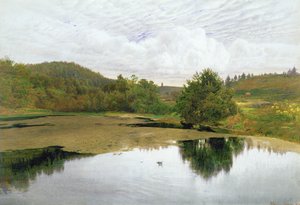 The Pool, 1860 (wc & pen og blæk på papir)