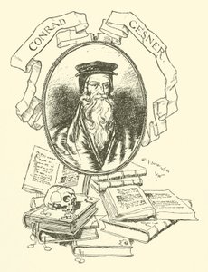 Conrad Gesner af Edmund Joseph after Sullivan