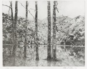 Sai-no-Ko, 1992dani