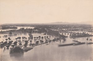 Avignon (flod i 1856)