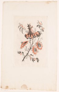 Parasolformede blomster Fleurs Idealle (serietitel) af Edouard Gautier Dagoty