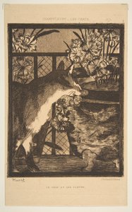 Kat og blomster. Illustration til The Cats af Champfleury, 1869. af Édouard Manet