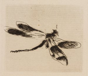 Dragonfly, plade 1 fra The River af Édouard Manet