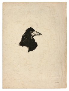 Hovedet af en ravn i profil, fra The Raven (Le Corbeau) af Édouard Manet
