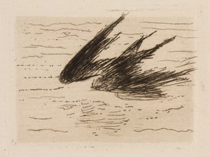 Svaler, plade 8 fra Le Fleuve af Édouard Manet