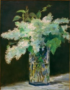Vase med blomster, hvide syrener